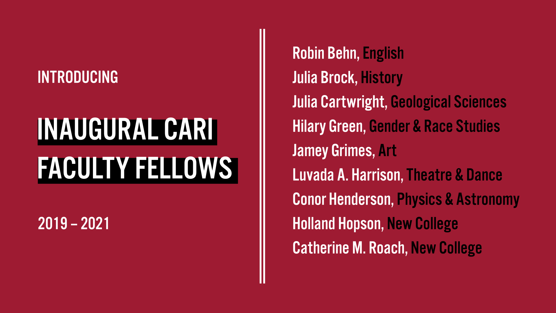 CARI Faculty Fellows