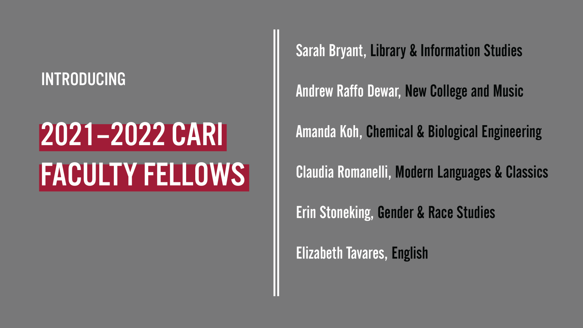 CARI Faculty Fellows