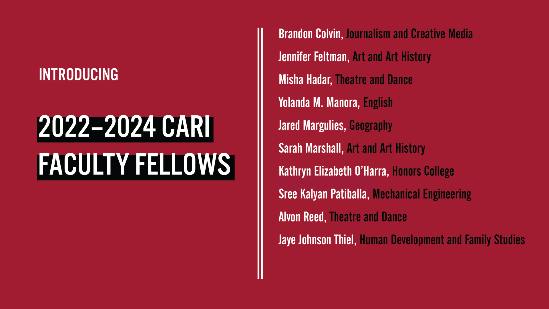 2022 CARI Faculty Fellows